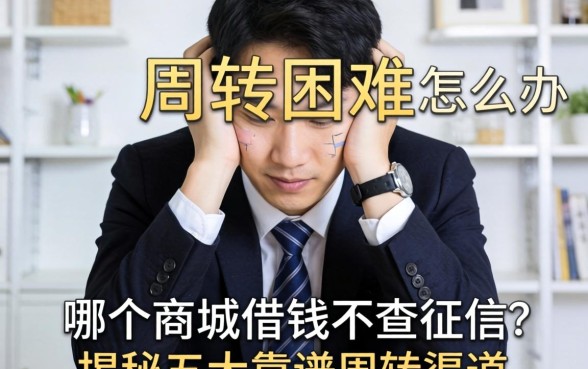 资金周转困难怎么办?哪个商城可以借钱不查征信?揭秘五大靠谱周转渠道