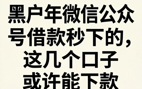 黑户2026年微信公众号借款秒下的，这几个口子或许能下款