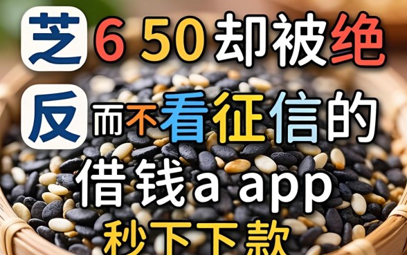 我芝麻分650却被拒,反而不看征信的借钱app秒下款