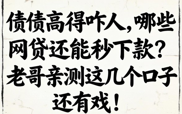 负债高得吓人，哪些网贷还能秒下款？老哥亲测这几个口子还有戏！