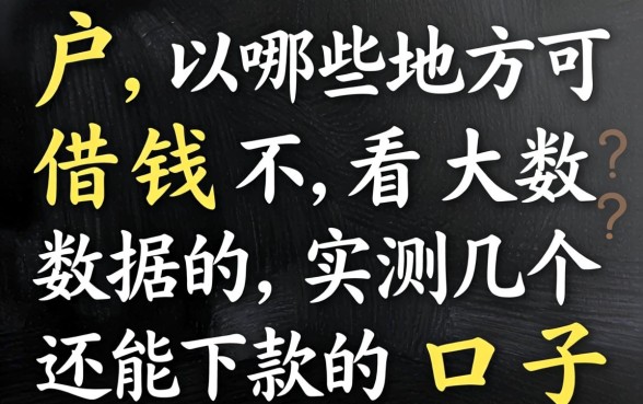 黑户哪些地方可以借钱不看大数据的？实测几个还能下款的口子