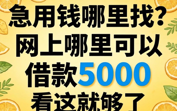 急用钱哪里找?网上哪里可以借款5000看这就够了