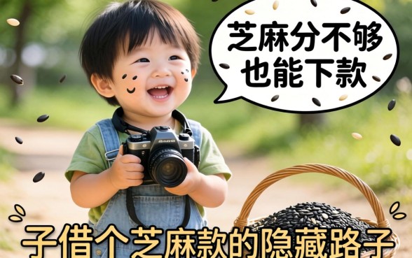 新口子借个芝麻：芝麻分不够也能下款的隐藏路子