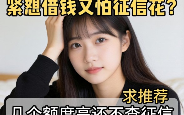 手头紧想借钱又怕征信花？求推荐几个额度高还不查征信的平台！