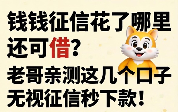 急需用钱征信花了哪里还能借？老哥亲测这几个口子无视征信秒下款！