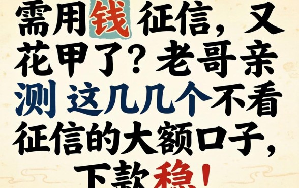 急需用钱征信又花了？老哥亲测这几个不看征信的大额口子，下款稳！