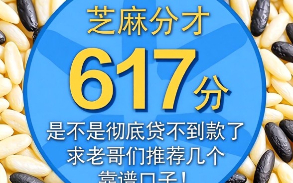 芝麻分才617分，是不是彻底贷不到款了？求老哥们推荐几个靠谱口子！