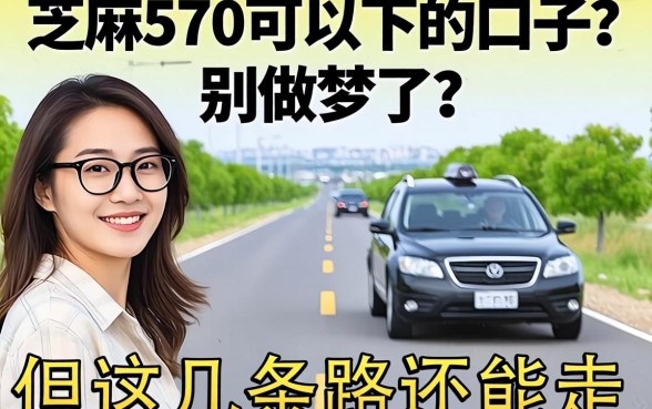 芝麻570可以下的口子?别做梦了,但这几条路还能走