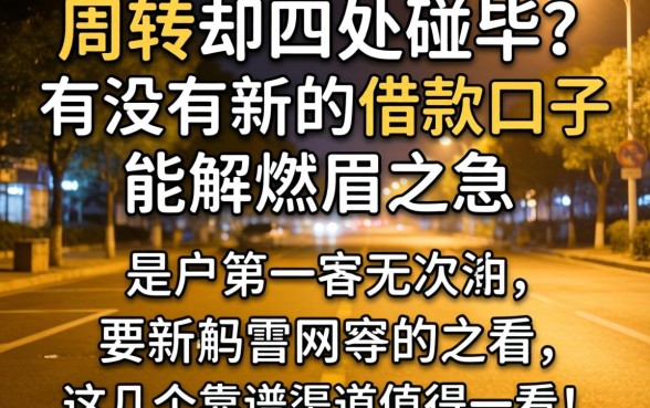 深夜急需周转却四处碰壁?有没有新的借款口子能解燃眉之急?这几个靠谱渠道值得一看