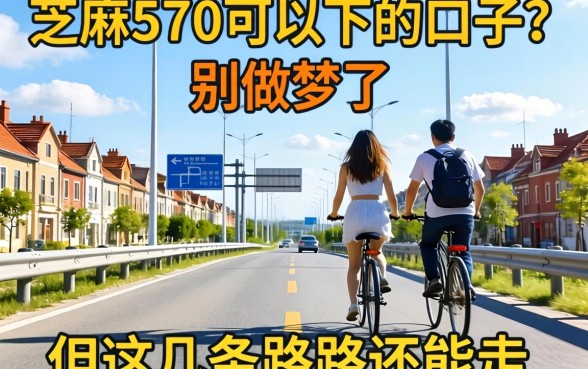 芝麻570可以下的口子?别做梦了,但这几条路还能走
