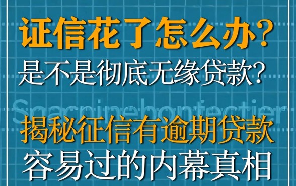 征信花了怎么办？是不是彻底无缘贷款？揭秘征信有逾期2026贷款容易过的内幕真相