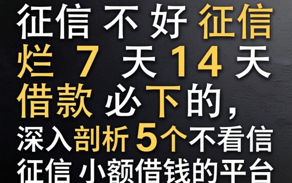 征信黑征信不好征信烂7天14天借款必下的，深入剖析5个不看征信小额借钱的平台