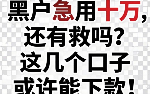 黑户急用十万,还有救吗?这几个口子或许能下款!