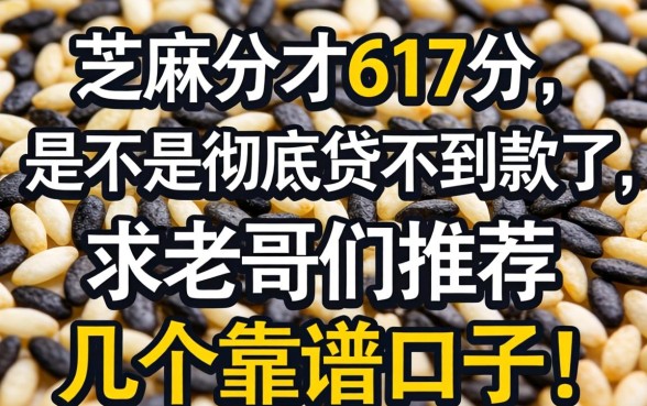芝麻分才617分，是不是彻底贷不到款了？求老哥们推荐几个靠谱口子！