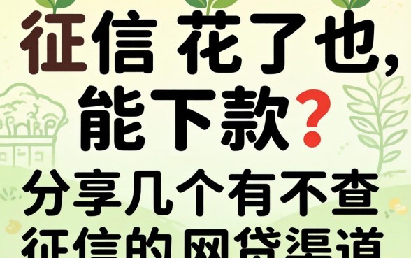 征信花了也能下款?分享几个有不查征信的网贷渠道
