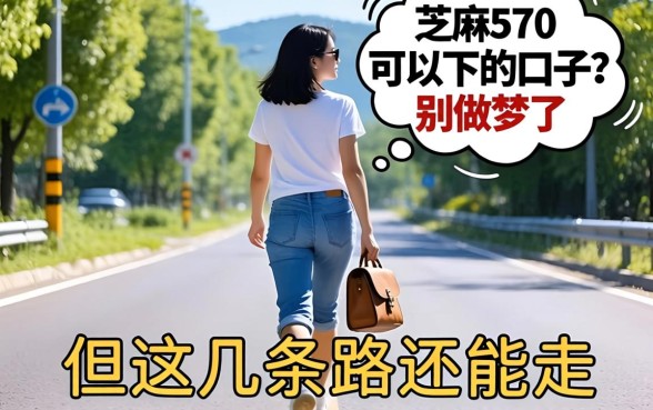 芝麻570可以下的口子?别做梦了,但这几条路还能走