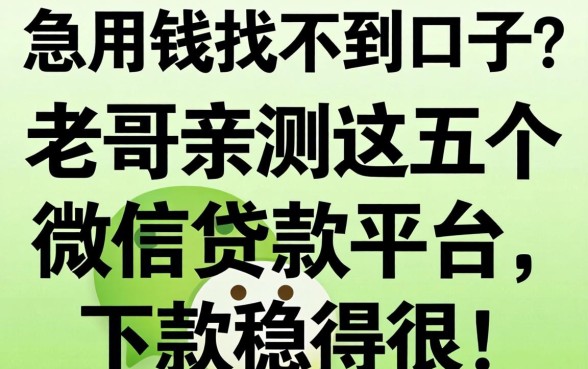 急用钱找不到口子?老哥亲测这五个微信贷款平台,下款稳得很!