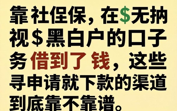 我靠社保在无视黑白户的口子借到了钱，这些申请就下款的渠道到底靠不靠谱