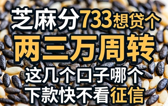芝麻分733想贷个两三万周转，这几个口子哪个下款快不看征信？