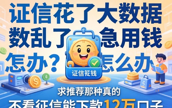 征信花了大数据乱了急用钱怎么办？求推荐那种真的不看征信能下款12万的口子！