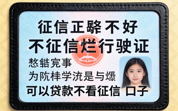 征信黑征信不好征信烂行驶证可以贷款不看征信的口子