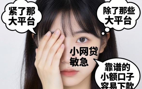 手头紧想找小网贷救急，除了那些大平台，还有哪些靠谱的小额口子容易下款？