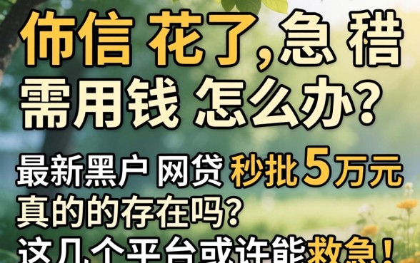 征信花了急需用钱怎么办？最新黑户网贷秒批5万元真的存在吗？这几个平台或许能救急！