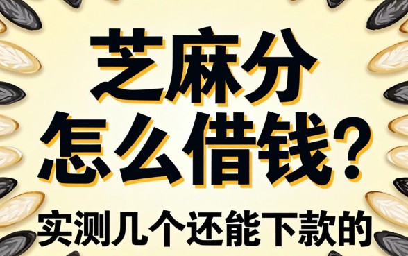 2026芝麻分怎么借钱？实测几个还能下款的口子