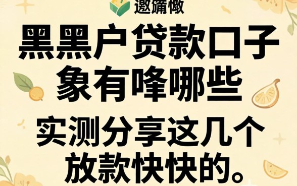 2026双黑户贷款口子有哪些?实测分享这几个放款快的