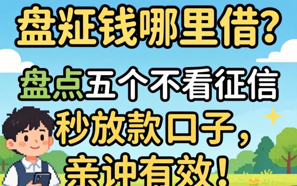 急需用钱哪里借？盘点五个不看征信秒放款的口子，亲测有效！