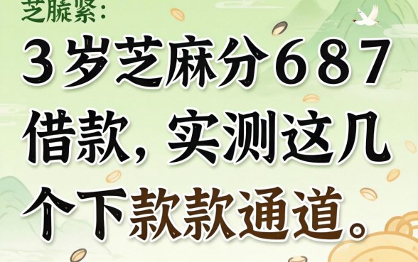 23岁芝麻分687借款，实测这几个下款通道