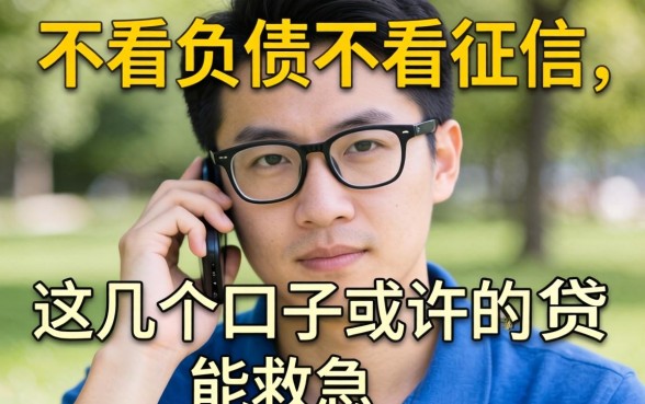 揭秘不看负债不看征信的网贷2026,这几个口子或许能救急