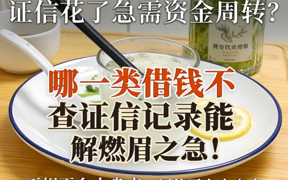 征信花了急需资金周转？哪一类借钱不查征信记录能解燃眉之急？正规平台大盘点