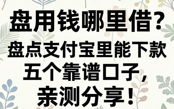 急用钱哪里借?盘点支付宝里能下款的五个靠谱口子,亲测分享!