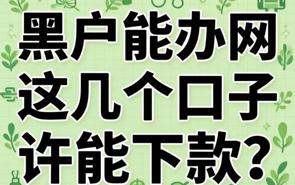 实测有没黑户能办的网贷,这几个口子或许能下款