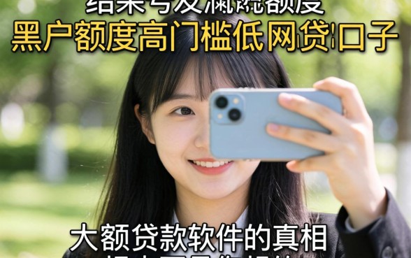 我试了那些号称黑户额度高门槛低的网贷口子,结果发现大额贷款软件的真相根本不是你想的那样