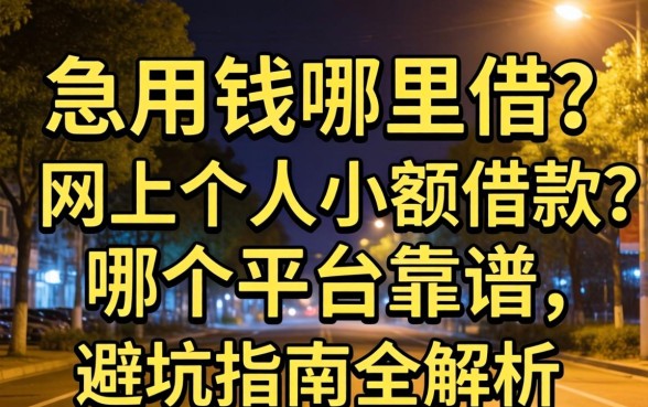 深夜急用钱哪里借?网上个人小额借款哪个平台靠谱?避坑指南全解析
