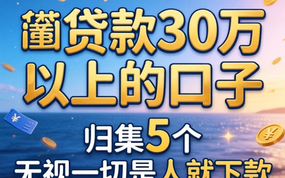 信用贷款30万以上的口子,归集5个无视一切是人就下款