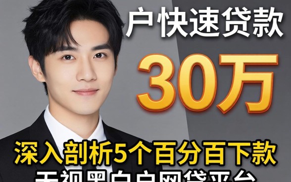 黑户快速贷款30万，深入剖析5个百分百下款无视黑白户网贷平台