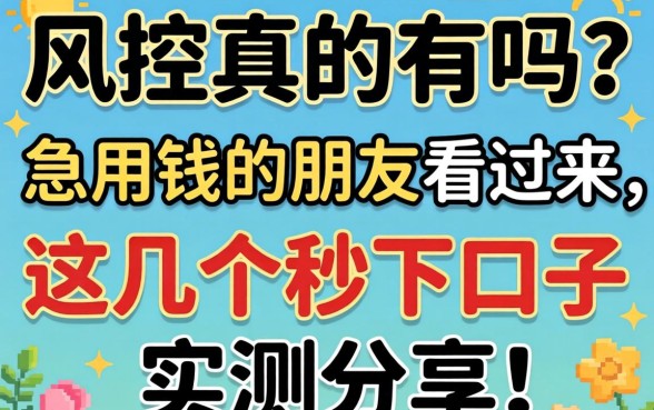 无视风控真的有吗？急用钱的朋友看过来，这几个秒下口子实测分享！