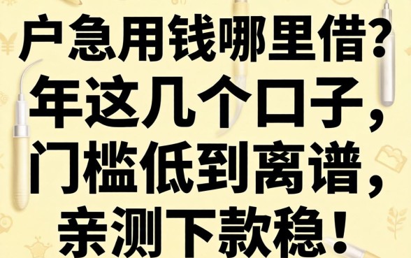 黑户急用钱哪里借？2026年这几个口子门槛低到离谱，亲测下款稳！
