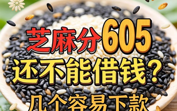 芝麻分605还不能借钱？分享几个容易下款的口子