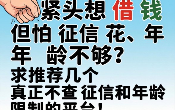 手头紧想借钱但怕征信花、年龄不够？求推荐几个真正不查征信和年龄限制的平台！