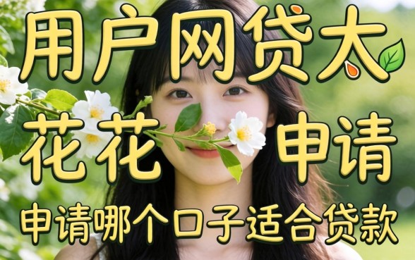 黑户网贷太花申请哪个口子适合贷款
