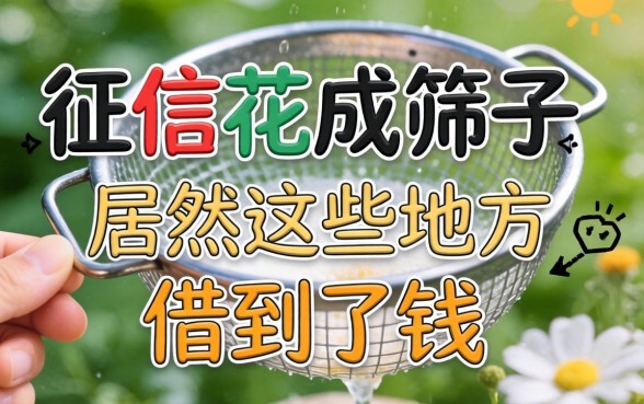 我征信花成筛子，居然在这些地方借到了钱