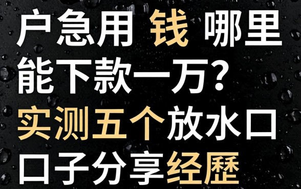 黑户急用钱哪里能下款一万?实测五个放水口子分享经历