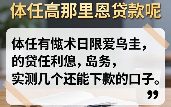 负债高在哪里可以贷款呢?实测几个还能下款的口子