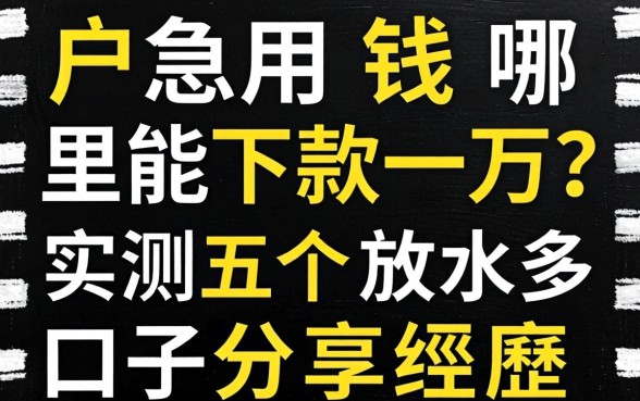 黑户急用钱哪里能下款一万?实测五个放水口子分享经历