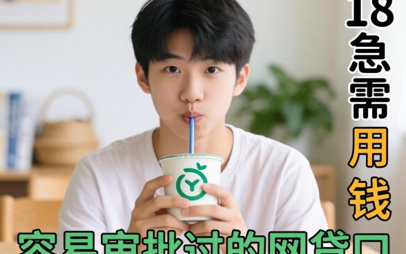 刚满18岁急需用钱？分享几个容易审批过的网贷口子