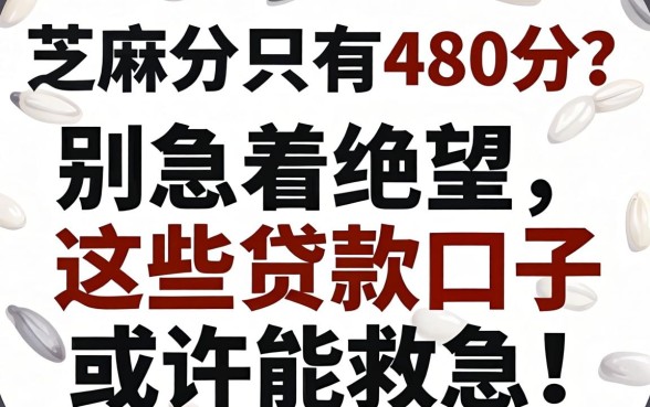 芝麻分只有480分？别急着绝望，这些贷款口子或许能救急！